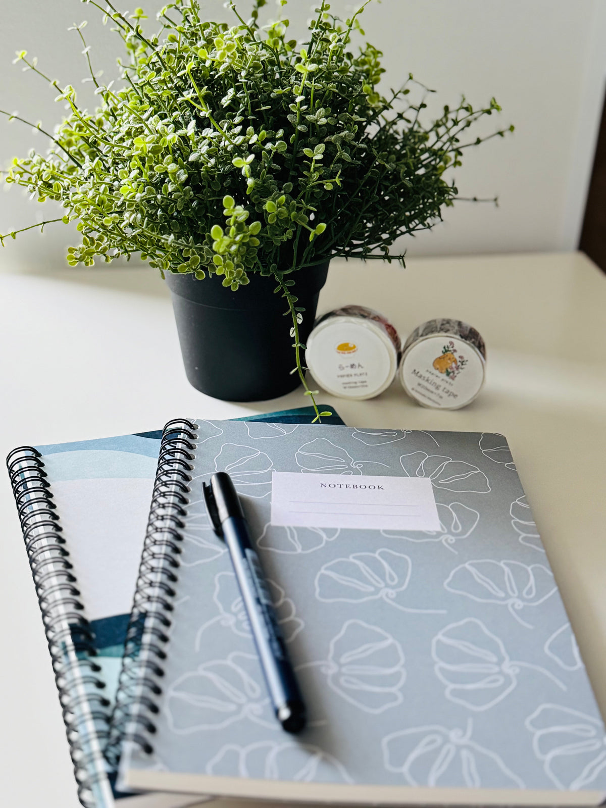 A styled desk scene with two spiral notebooks, a black pen, two small decorative washi tape rolls, and a potted green plant in the background.