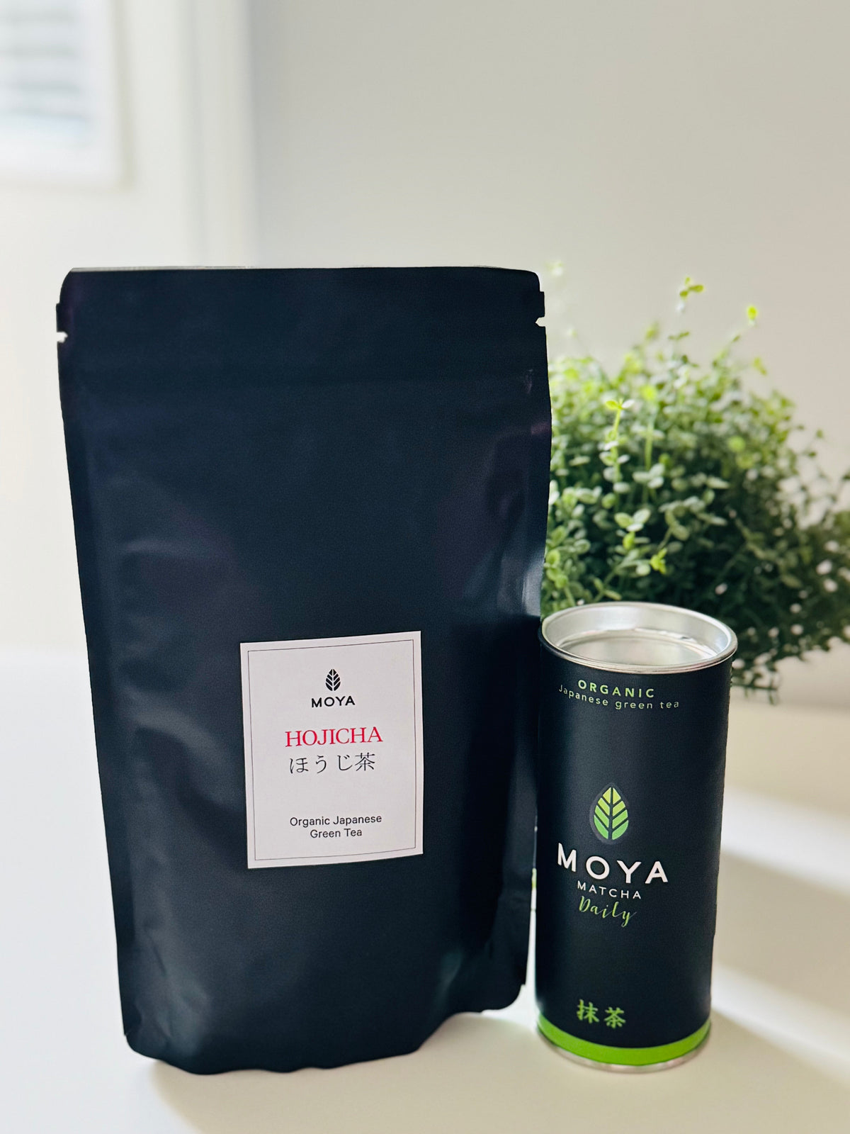 A black stand-up pouch of Moya Hojicha Japanese green tea next to a matching black canister of Moya Matcha Daily, set on a white surface with a blurred green plant in the background.