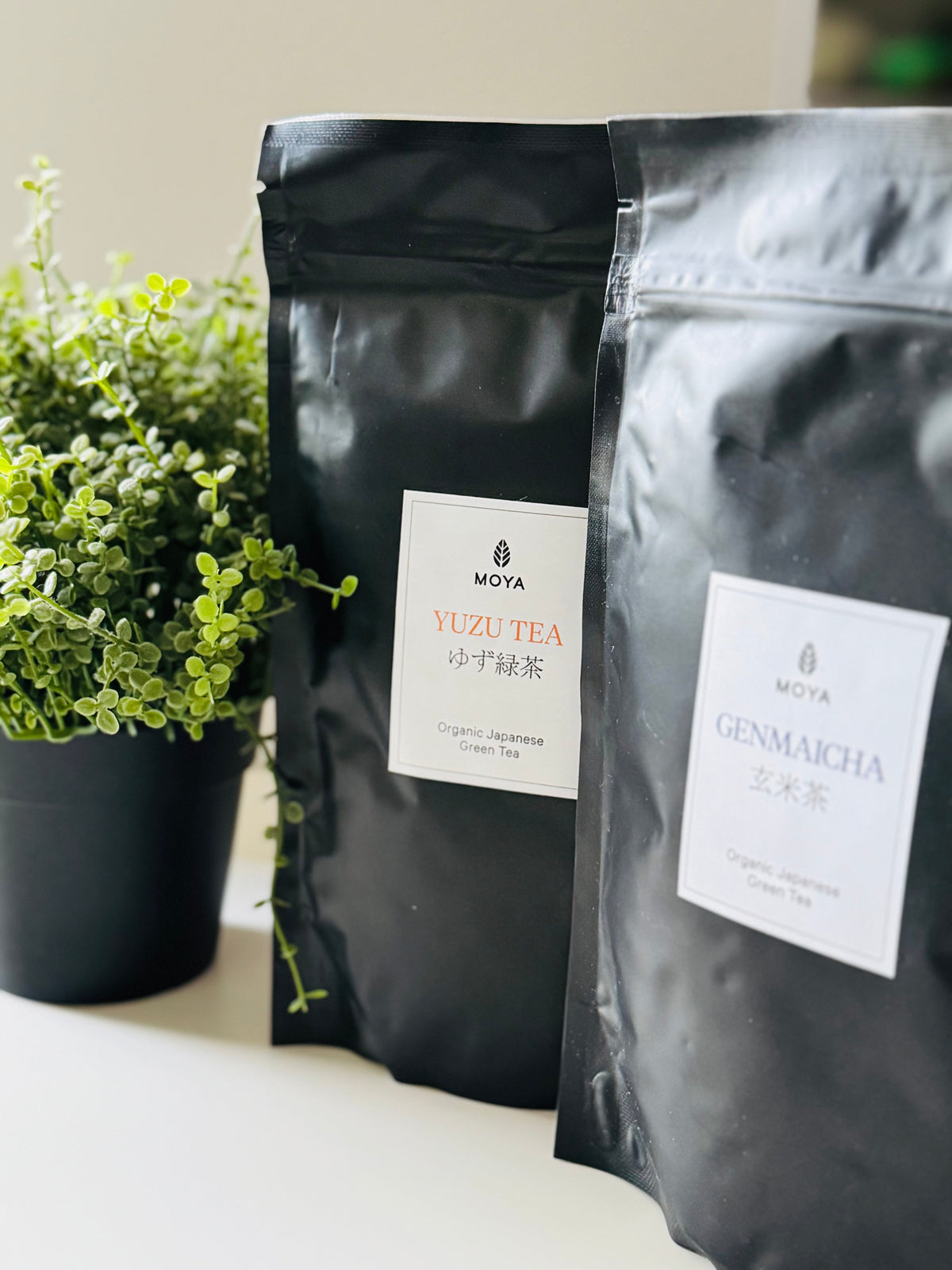 Two black stand-up pouches of Moya tea, one labeled Yuzu Tea and the other Genmaicha, standing on a white surface next to a potted green plant.